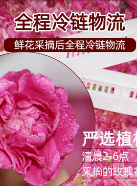 玫之屋冻干玫瑰精油花苞液