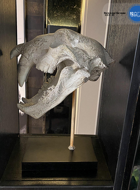 独立门户树脂美式乡村