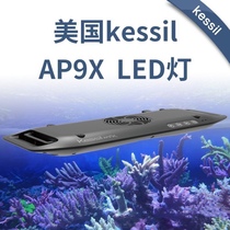 American Kessil AP9X coral lamp LED 185W new spotlight floodlight sea water cylinder