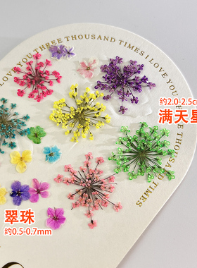 美甲日式ins翠珠小干花