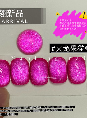 爆闪浓密磁粉指甲油胶