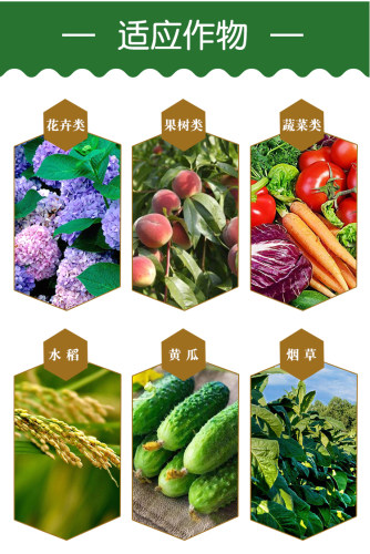 6%春雷霉素杀菌剂叶斑病角斑稻瘟病流胶病柑橘蔬菜软腐细菌病害 - 图2