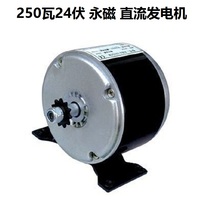Wind permanent magnet DC generator 12V24V250 watt 600 W can be changed hand-powered generator hydro-pedal charging