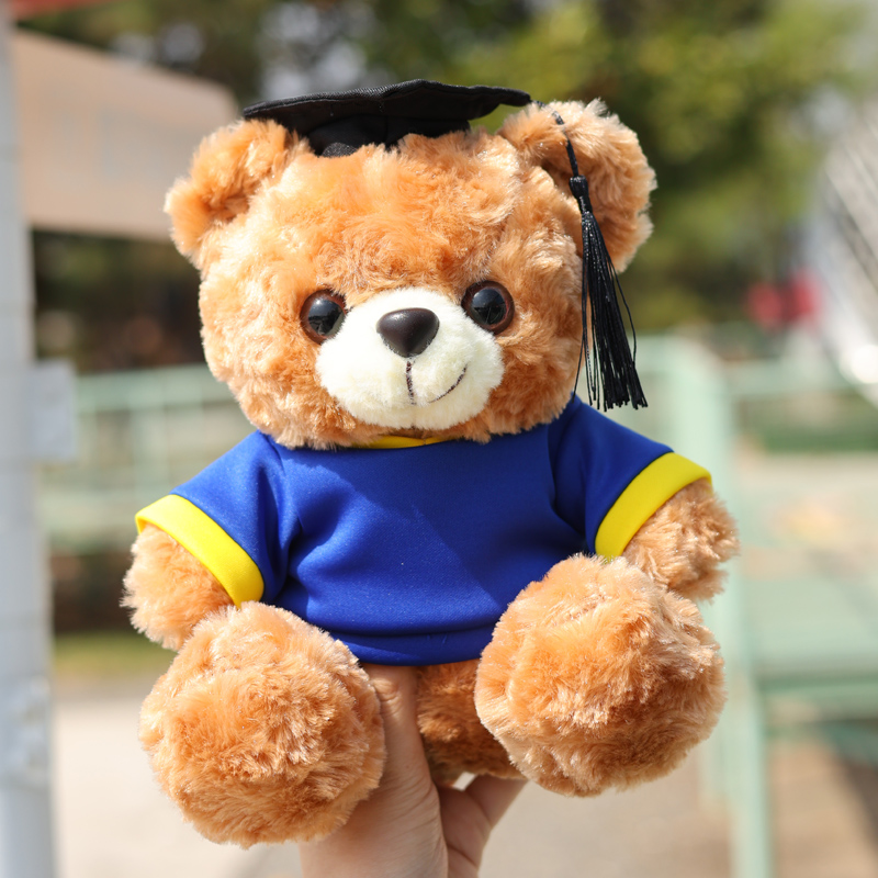 毕业礼物幼儿园全班批发有纪念意义小学大学硕士毕业小熊玩偶公仔 - 图1