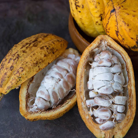 可可果新鲜可可巧克力原材料可可粉原料coco现摘自己果地海南发货_虎窝淘