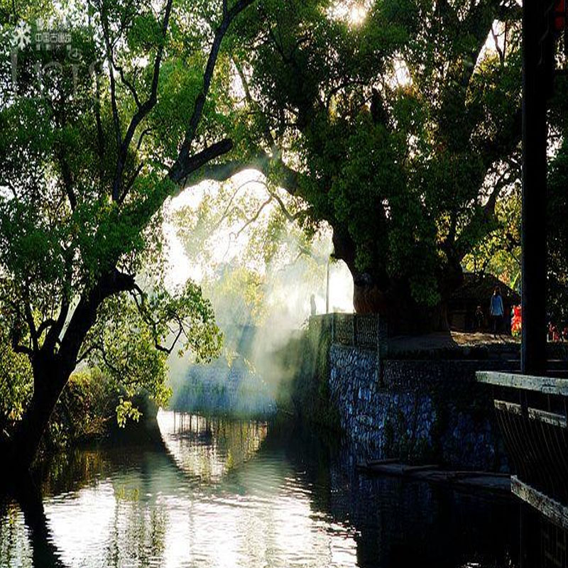 婺源篁岭+北线+东线李坑月亮湾思溪晓起全景3日游散客天天发团 - 图0