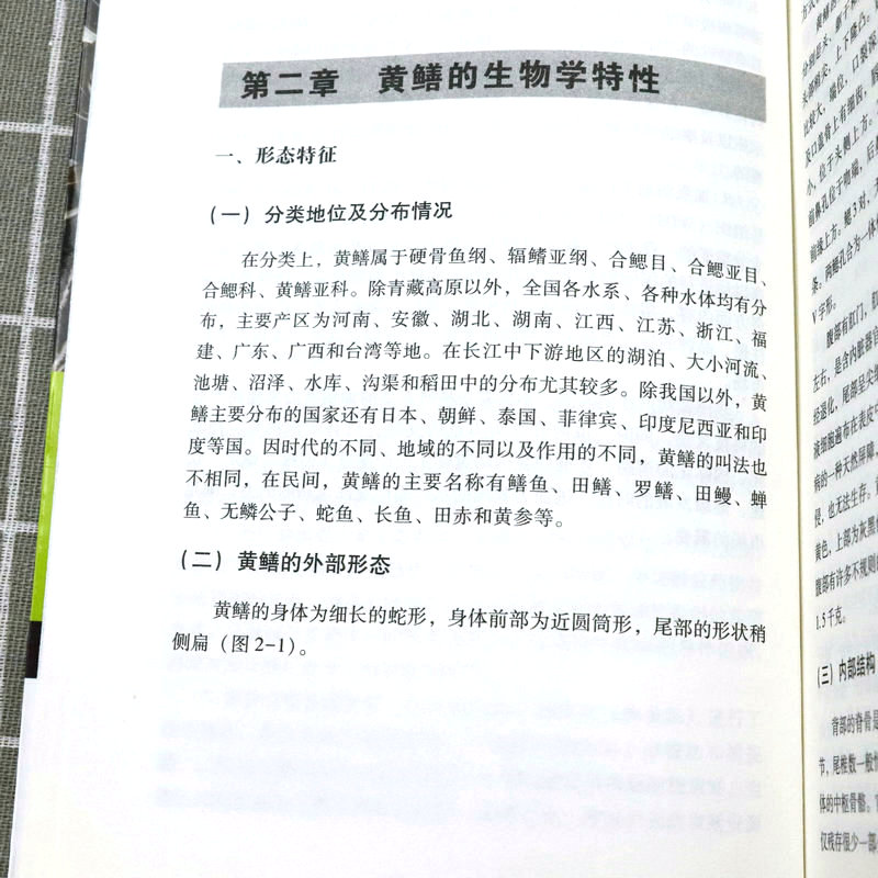 正版黄鳝泥鳅高效生态养殖新技术 一本书教你养好黄鳝泥鳅营养需求与饲料配制技术书籍鳝鱼繁殖科学饲养饲料配方大全水产养殖技术 - 图2