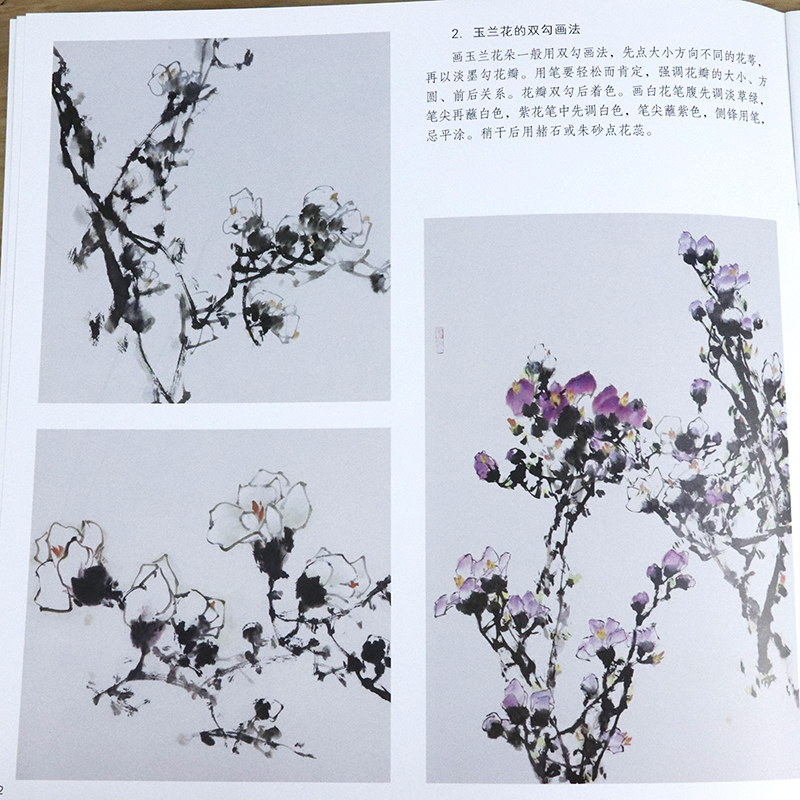 5本38包邮 学画宝典 中国画技法 玉兰花中国画白描写意花卉入门画法步骤画谱图集绘画技巧基础教程书籍 明德堂图书专营店