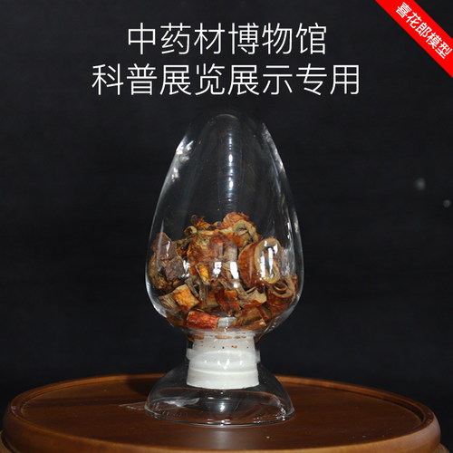 仿真中药材种子瓶标本模型博物馆医学院校中小学科普科教开票定制 - 图2