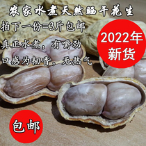 22 Years New Goods Farmhouse Water Cooking Sun Dried Peanuts White Jade Salted Dry Water Cooking White Sun Peanuts Garlic Spice 5 fragrant peanuts