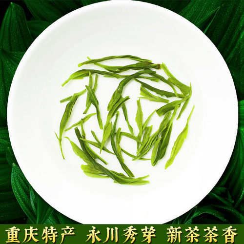 逗硬2026新茶重庆茶叶特产永川秀芽毛峰云雾绿茶茶叶浓香型500g - 图2