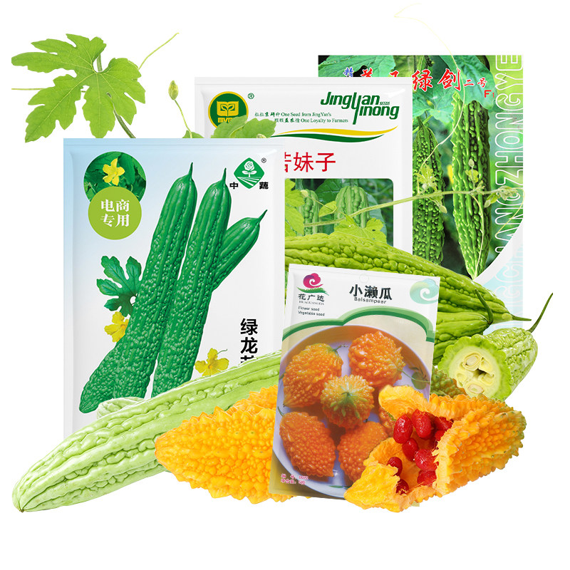 苦瓜种子长肉丝瓜苹果苦瓜瓠瓜砍瓜小癞瓜阳台盆栽农科院蔬菜籽孑,淘宝优惠券,粉丝福利购,淘宝优惠卷