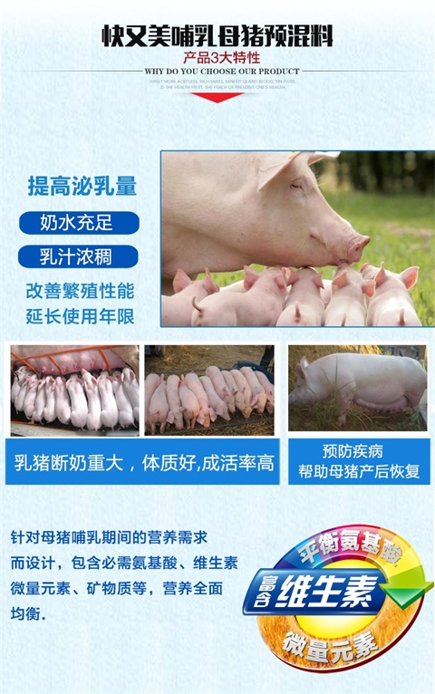 快又美2%哺乳母猪预混料4%母猪用饲料催奶增加奶水营养添加剂 - 图1