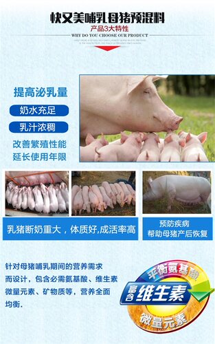快又美2%哺乳母猪预混料4%母猪用饲料催奶增加奶水营养添加剂 - 图1