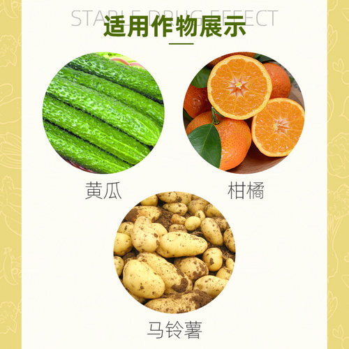 净果精33.5%喹啉铜 柑橘溃疡病黄龙病黄瓜角斑病霜霉病农药杀菌剂 - 图1