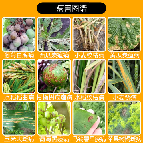 拿敌稳德国拜耳杀菌剂肟菌酯戊唑醇黄瓜葡萄草莓白粉病叶斑病农药 - 图0