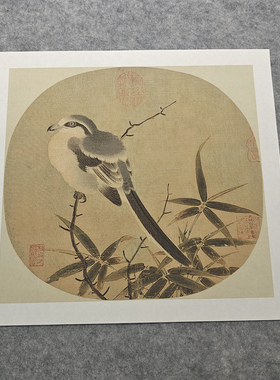 南宋李安忠竹鸠图宣纸高清画芯