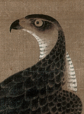 元代徐泽绘鹰图工笔高清临摹范本