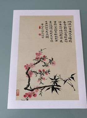 清四僧石涛花卉宣纸复制临摹国画
