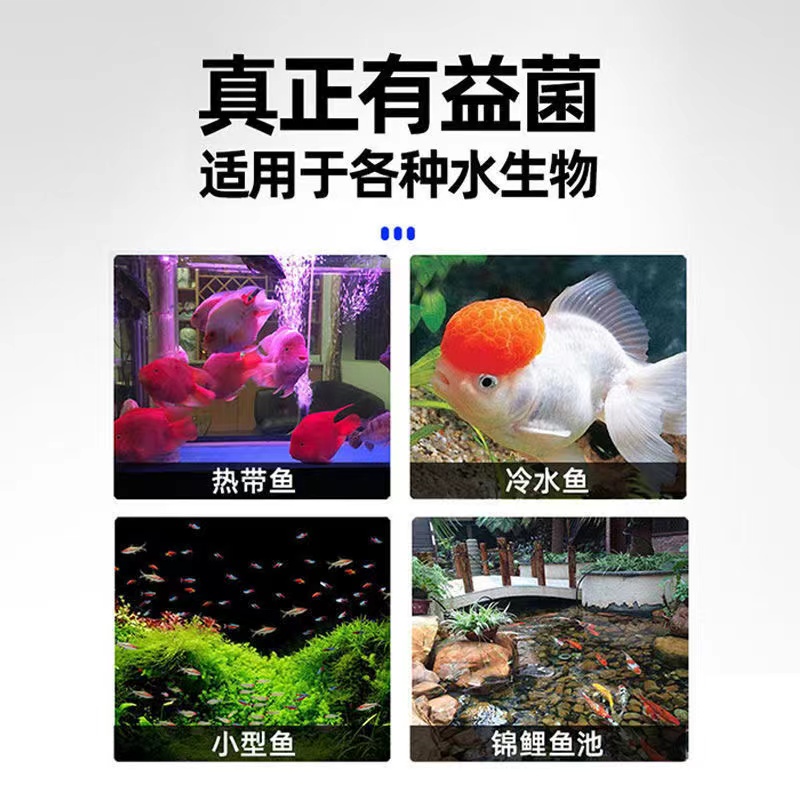 再宠硝化细菌胶囊鱼缸专用净水剂水族用品鱼药活菌干粉水质稳定剂 - 图2