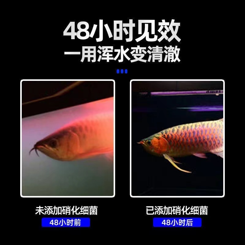 再宠硝化细菌胶囊鱼缸专用净水剂水族用品鱼药活菌干粉水质稳定剂 - 图1