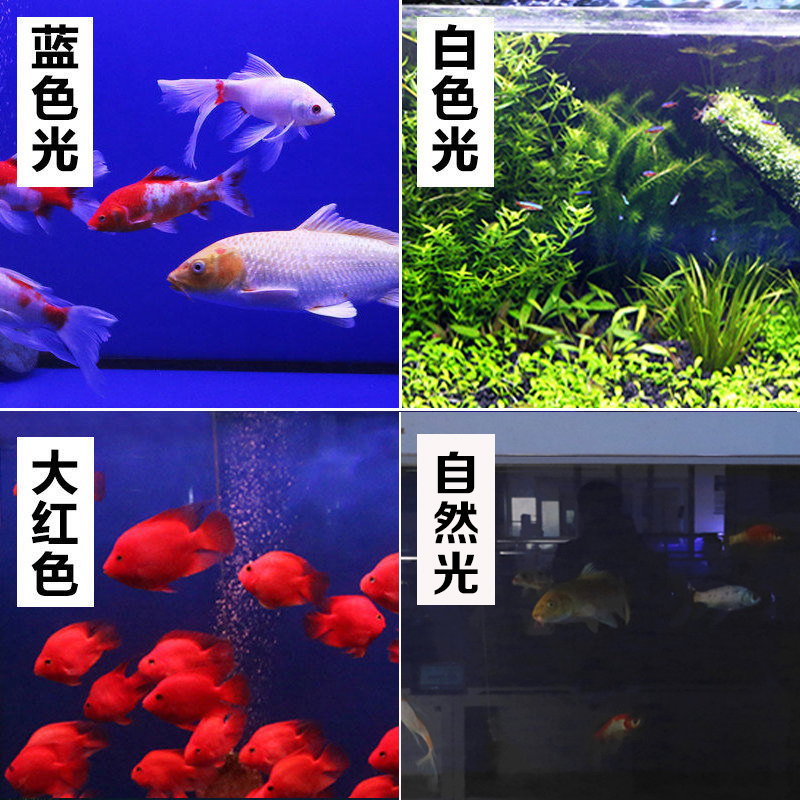 森森鱼缸T8 LED三基色防水龙鱼缸灯管水族箱草缸造景红龙鱼LED灯-图2