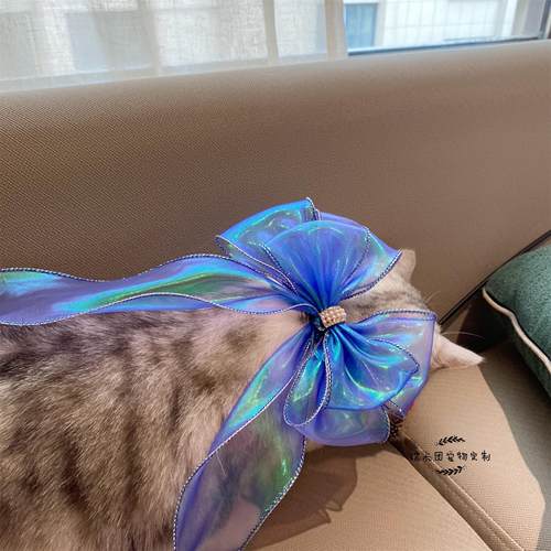 新品包邮韩式丝带蝴蝶结宠物装饰狗狗领结猫咪波浪边蕾丝饰品项圈 - 图3