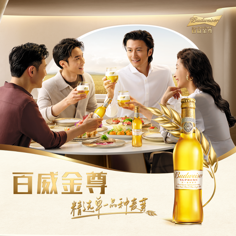 【自播专享】Budweiser/百威金尊啤酒500ml*12瓶麦芽 - 图2