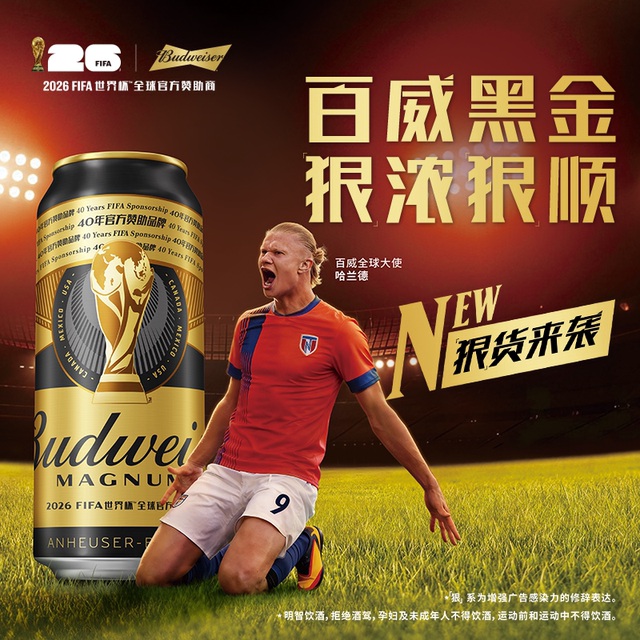 Budweiser Black Gold 500ml*12 cans
