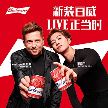 百威啤酒迷你小罐255ml*24听[10元优惠券]-寻折猪