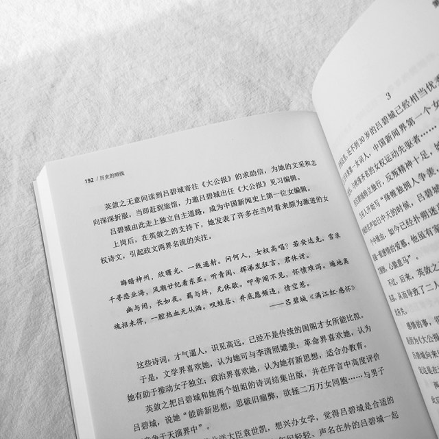 Interpretation of authentic historical hidden lines from an alternative perspective