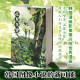 Printed and signed version丨In the summer, Xinglihui, a comic story about friendship, the hot and dazzling you come to me like the sun, fresh, beautiful, warm and healing comics, genuine comics
