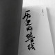 Interpretation of authentic historical hidden lines from an alternative perspective