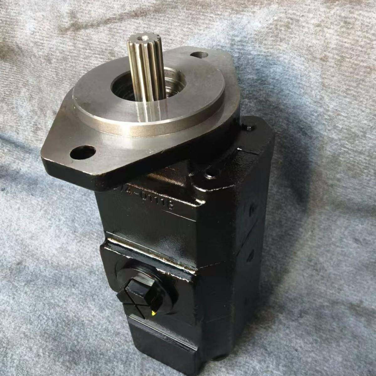 3129620173齿轮泵效率高结构简单安装方便 - 图0