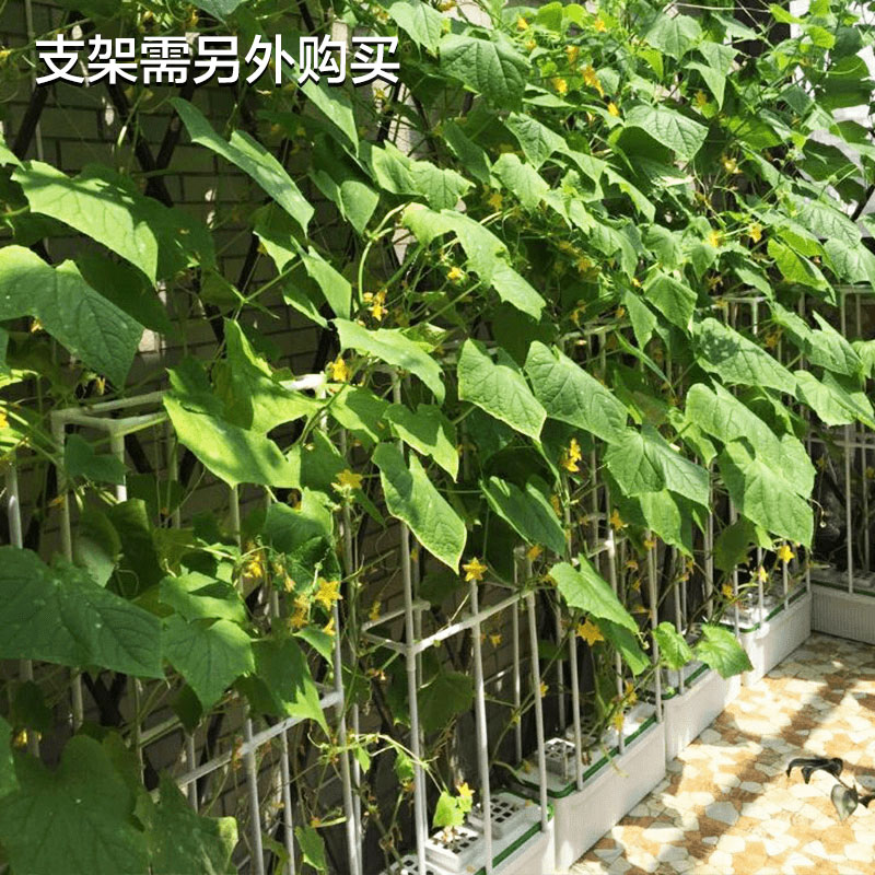 阳台种菜花盆机设备神器家庭室内菜园水培无土栽培有机蔬菜种植箱 - 图2