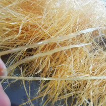 New Zealand Fishing Fin wings Foot Dry 500 gr Shampoo Simple Hotel Home Nourishing Buddha Jumps Wall Material 2