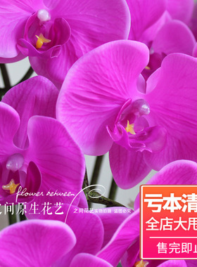 高仿真花PU手感客厅蝴蝶兰