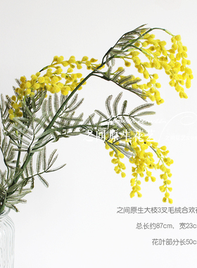 之间原生仿真花摄影植绒金合欢