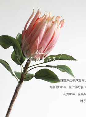 婚庆仿真花手捧花蝴蝶兰套装