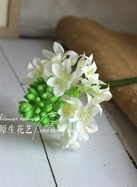 之间原生仿真花伯利恒之星绢花