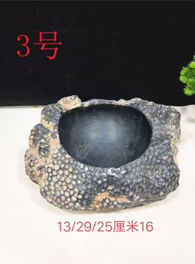 精品天然珊瑚虫化石奇石摆件