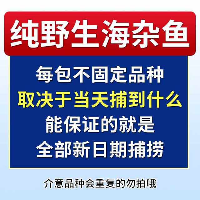 Freshly caught fish, red grouper, barracuda