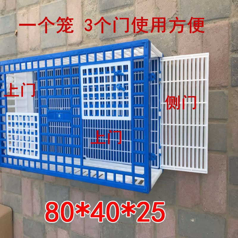 鸽具/放飞笼/训放笼/报道笼/信鸽塑料笼/鸽子笼/信鸽笼/直销包邮-图0