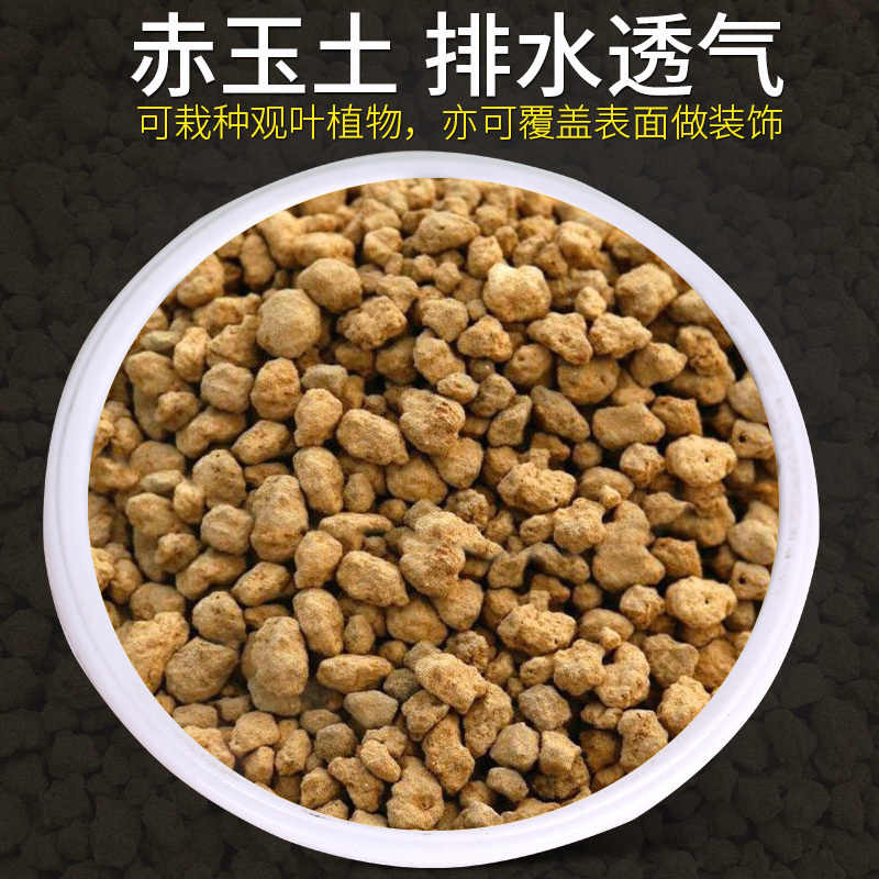 椰糠植物 新人首单立减十元 22年8月 淘宝海外