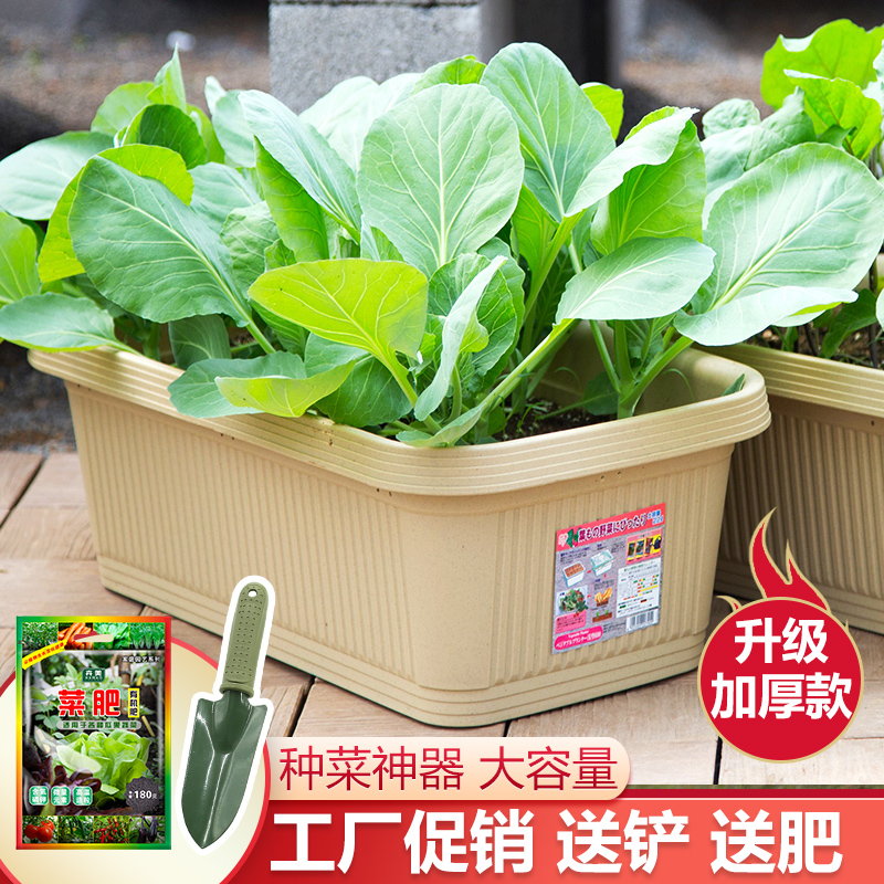 爱丽思阳台种菜箱塑料室内神器方形特大号蔬菜种植箱爱丽丝花盆-图0