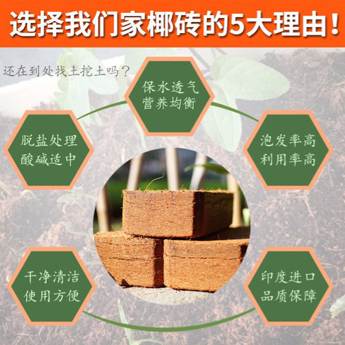 椰砖营养土通用型土壤种菜种花卉栽培基质土大块进口脱盐椰糠椰壳 - 图2
