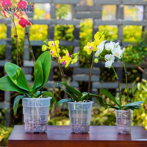爱美透明兰花水苔蝴蝶兰专用花盆塑料透气热植石斛盆栽青山控根盆 - 图2