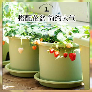 爱丽思陶氏加厚花盆托盘加仑盆底座树脂塑料阳台圆形接水盘爱丽丝