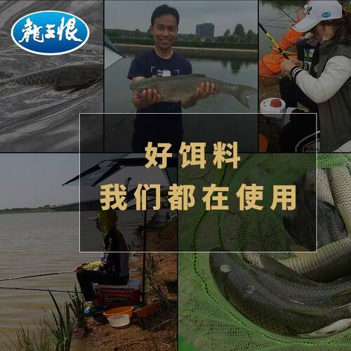 龙王恨扫黑麦芽发酵饵黑坑斤塘薯味果味颗粒散炮偷驴竞技鱼饵 - 图1