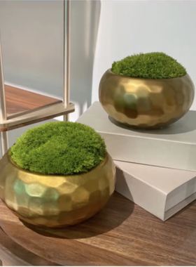 轻奢金属永生苔藓插花摆件  售楼部会所洽谈桌茶几台面软装饰品